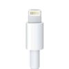 מטען מקורי לטאבלט Apple iPad 4,3,Mini 3